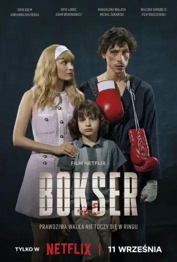 Boxer - 7starHD