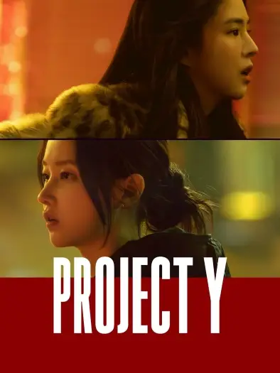 project y 2026